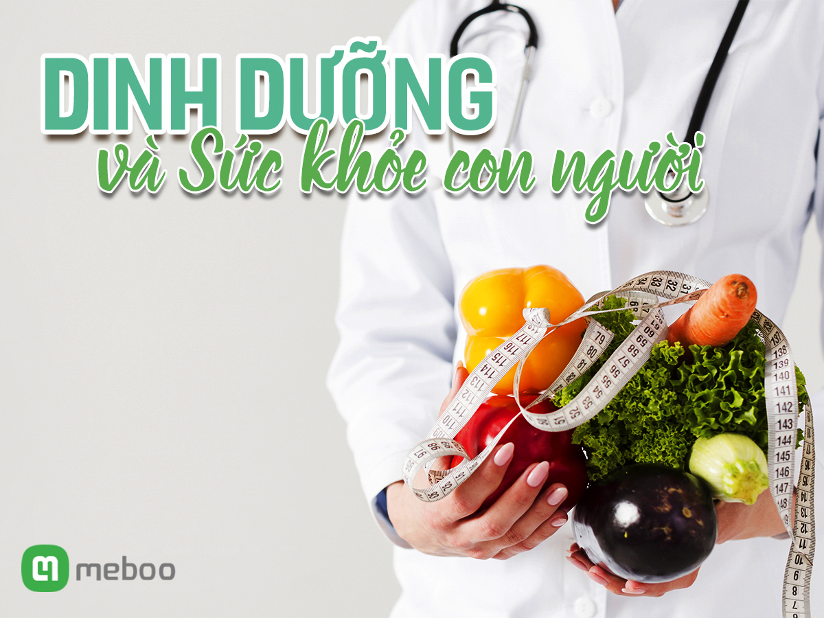 Dinh dưỡng và sức khỏe con người